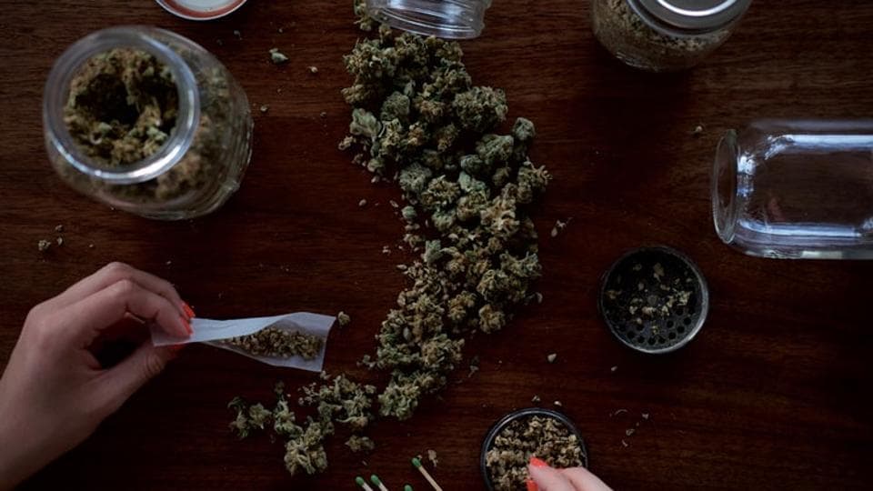 cannabis and testosterone