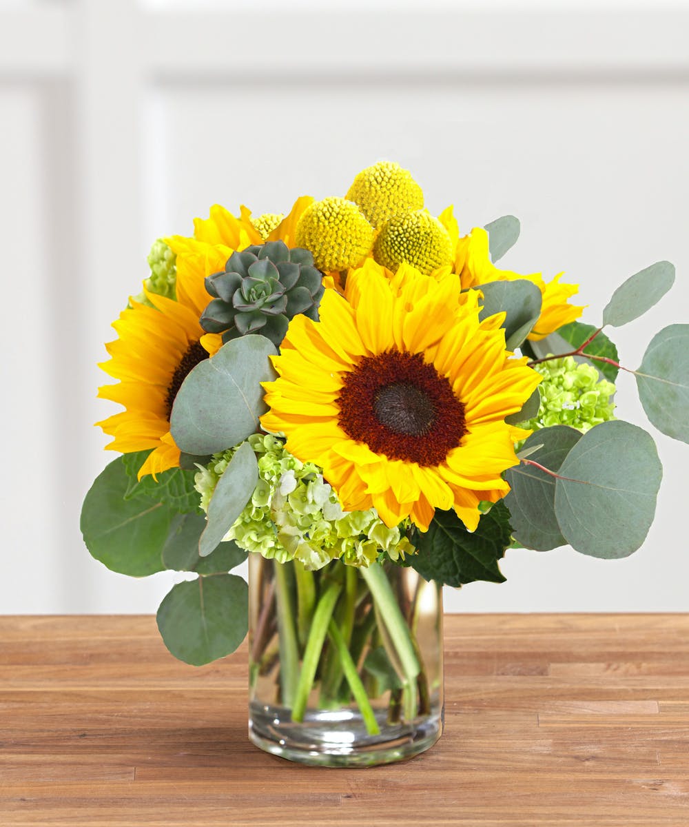 Get Sunflowers Delivery Easily