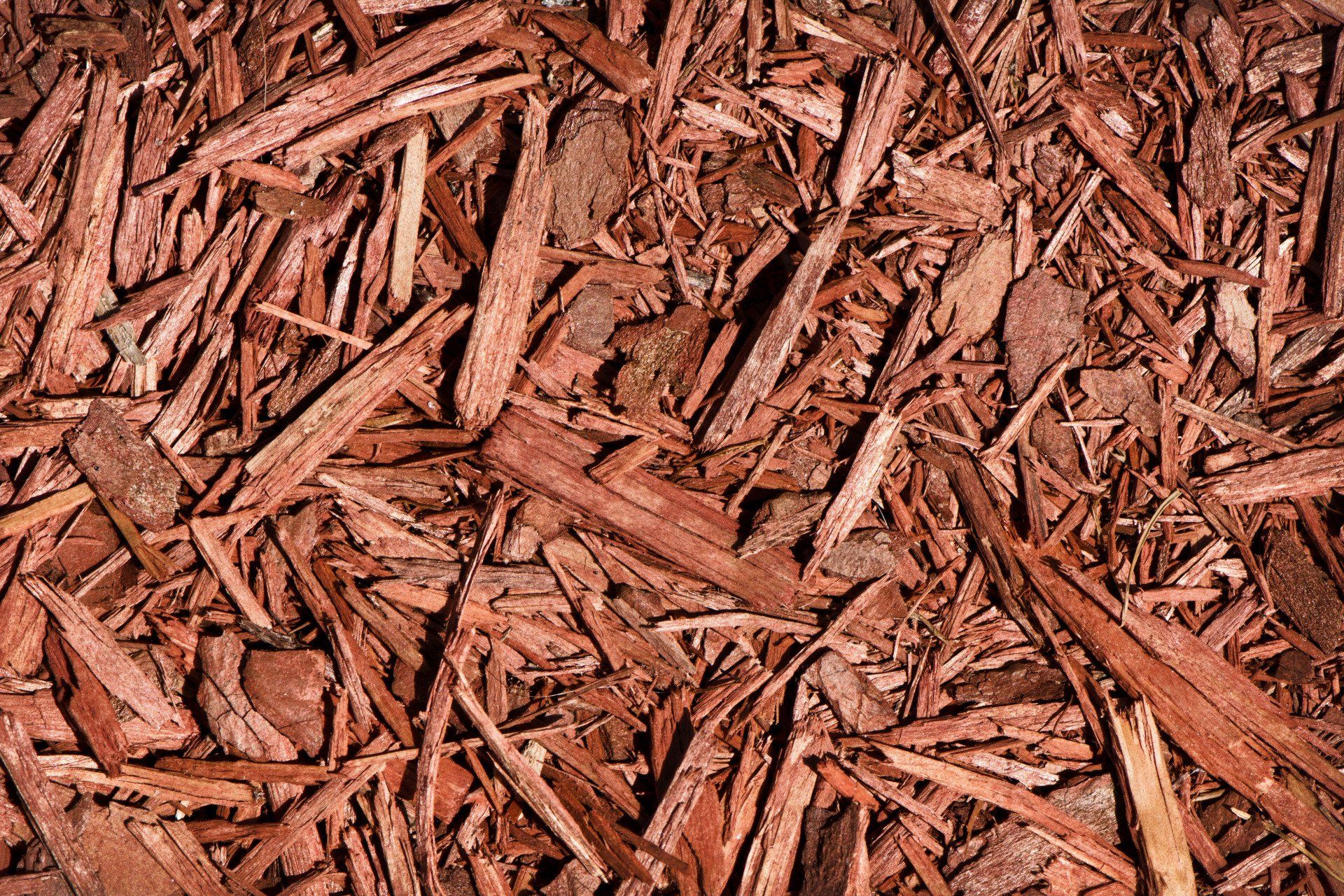 Alpine Bark Blowing