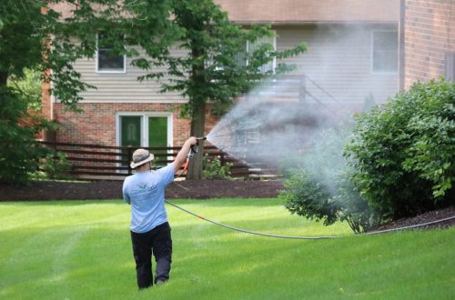 Targeted Pressure Washing Addressing High Traffic Outdoor Areas